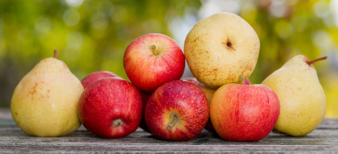 Buy Apple & Pear Trees Online at Yarden